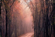 [CBA]常规赛1月25日：浙江方兴渡VS浙江稠州金租 余嘉豪集锦.