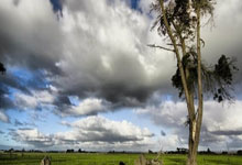 沃尔顿 德米纳尔 孟菲尔斯.