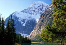 莫兰特22分灰熊胜爵士 三球34+11黄蜂逆转火箭.